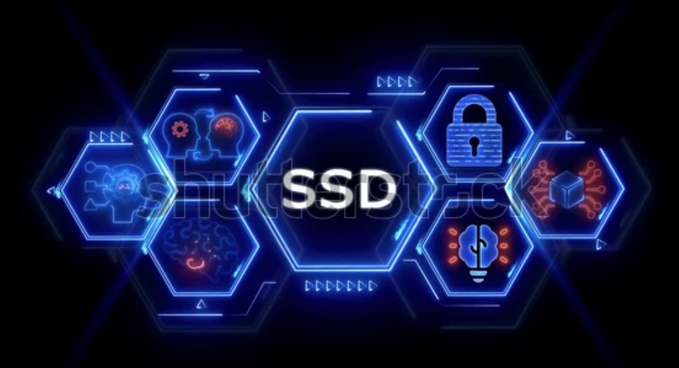 Encrypted Fortasa SSD